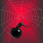 spiderslair