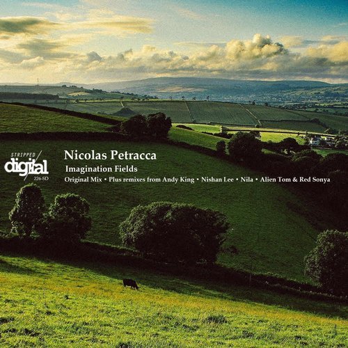 Nicolas Petracca - Imagination Fields